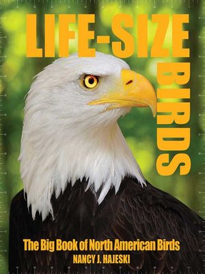 cover image of Life-Size Birds